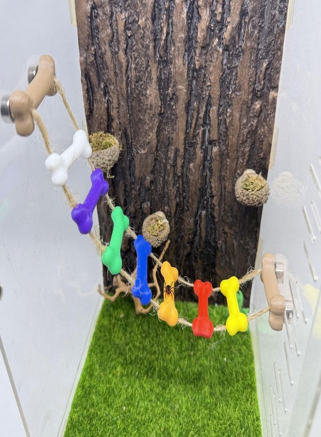 Daerky Jumping Spider Rope Bridge,Magnetic Climbing Bridge, Spider Hide Platform,Jumping Spider Enclosure Accessories,3D Printed,Magnetic Decor for Small Reptile Enclosures (Color) - Image 1